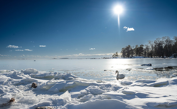 Talvi_2023_2809