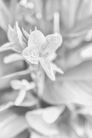 Elokuu_2021_0660